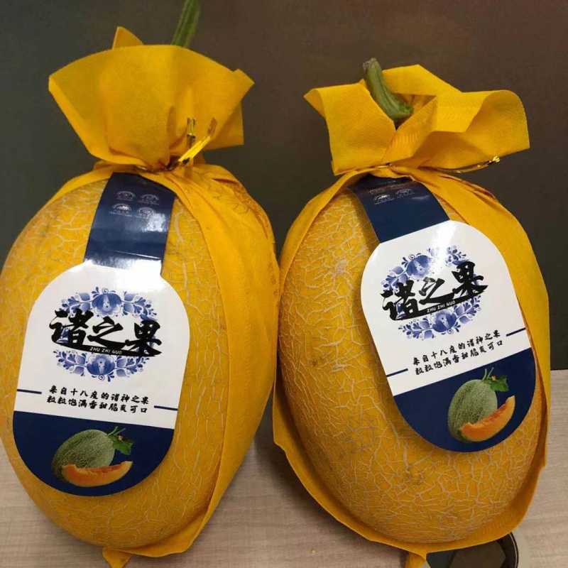 江南发★凤金6号蜜瓜