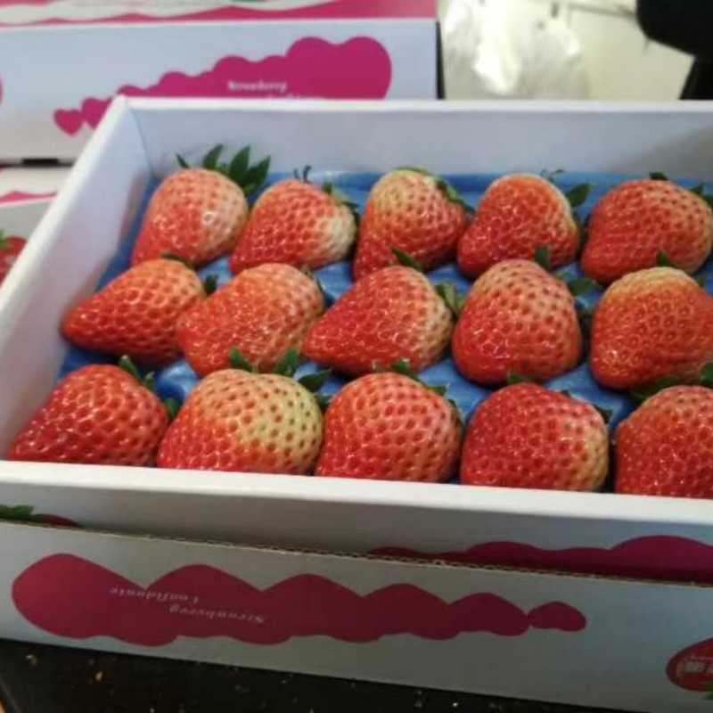 真田草莓小盒装