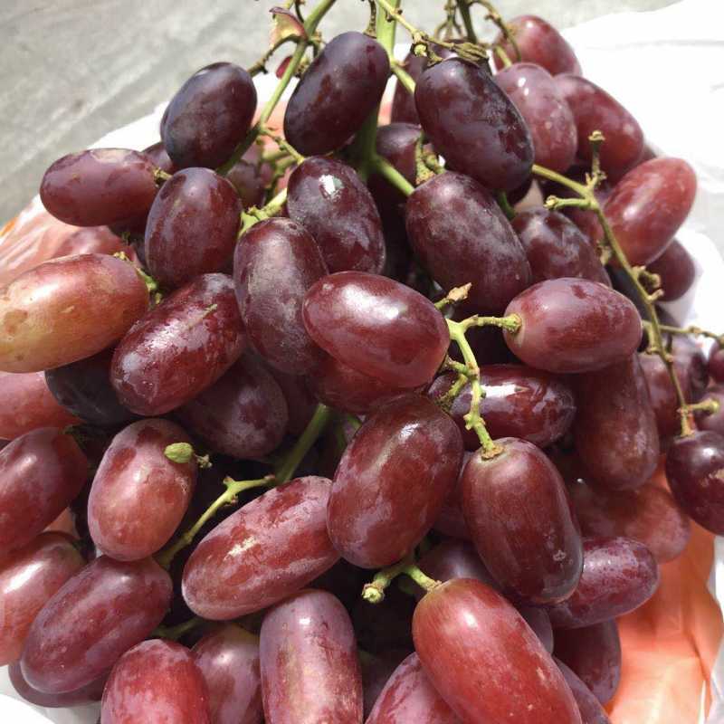 澳洲美人指红提(纸箱装)(废弃)