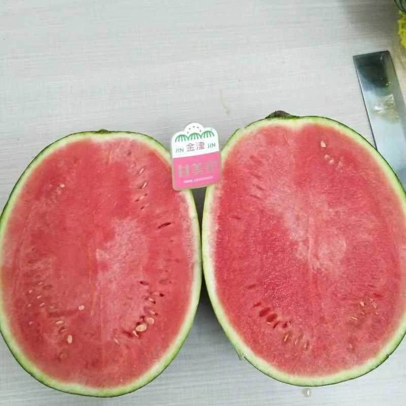 【金津】甘美皇西瓜