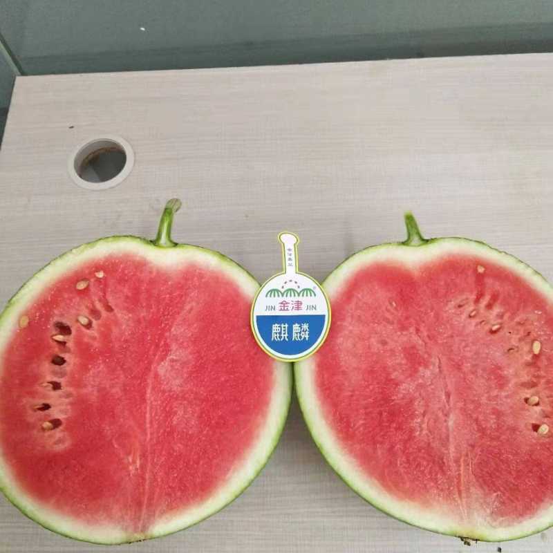 金津麒麟瓜