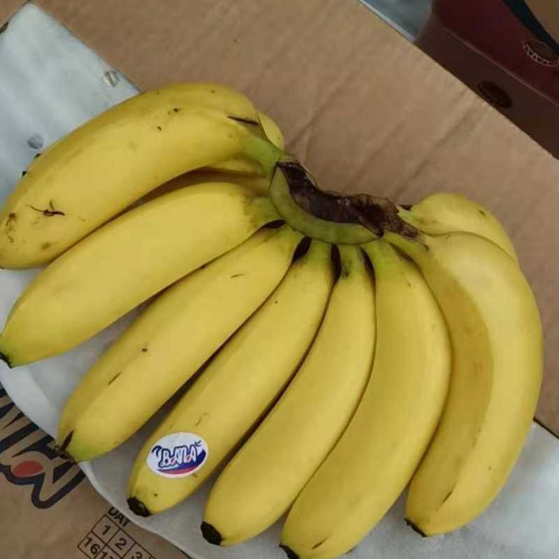 毛重28斤【二级果.带点花皮,不多.性价比非常高.