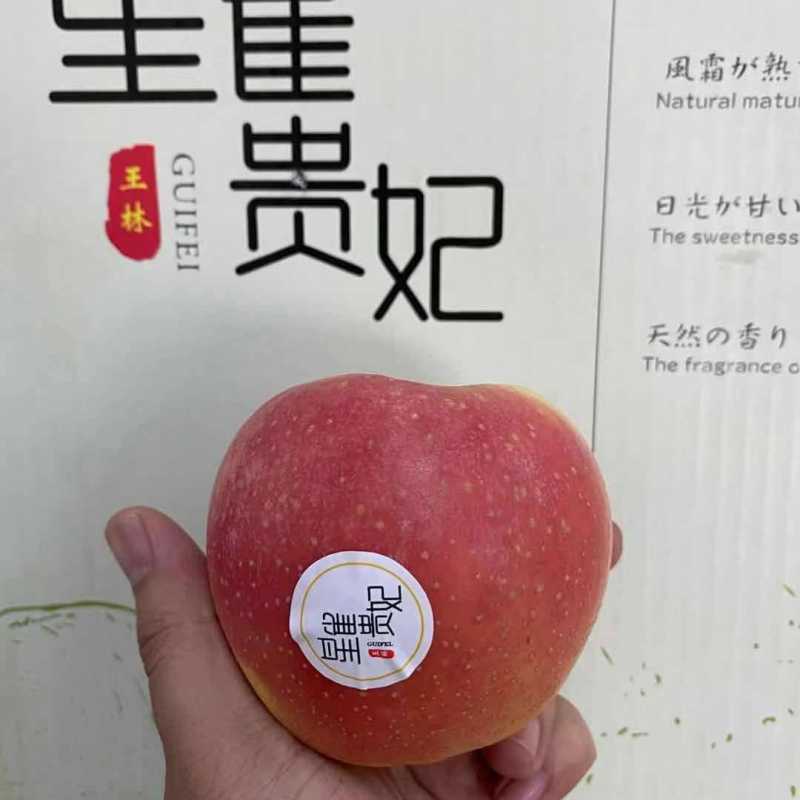 【星雀】贵妃苹果