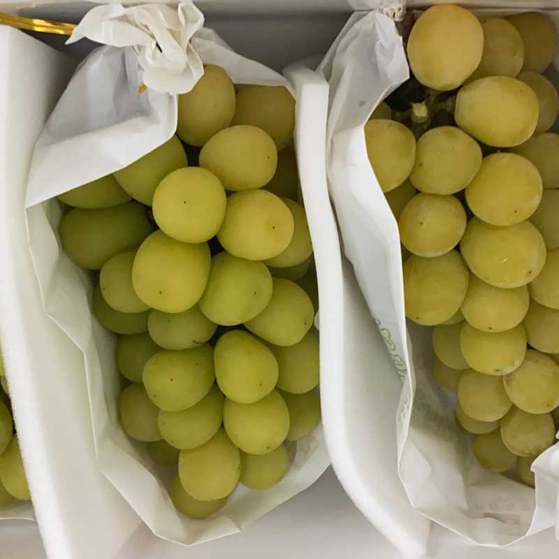 特级黄金香印青提