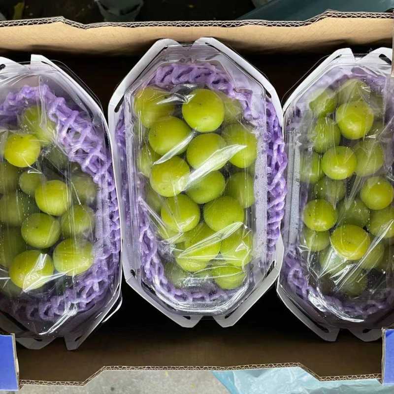 (促销)黄金香印