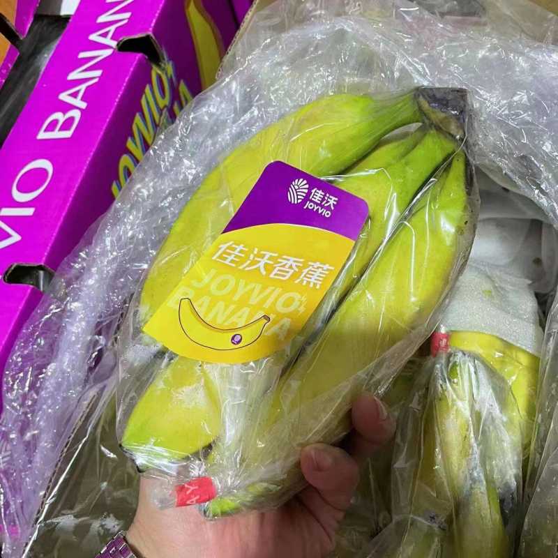 6条*125g 果肉香甜软滑,口感香甜绵糯(促销)菲律宾香蕉(礼盒装)官方