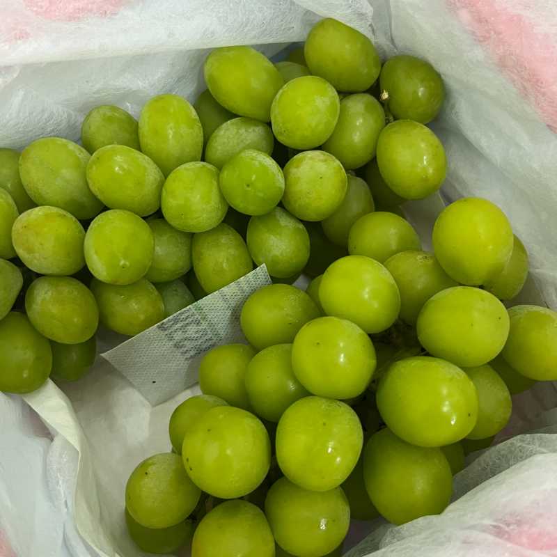 国产【元源鲜】蓝莓葡萄毛重约3斤果粉足,口感香甜?