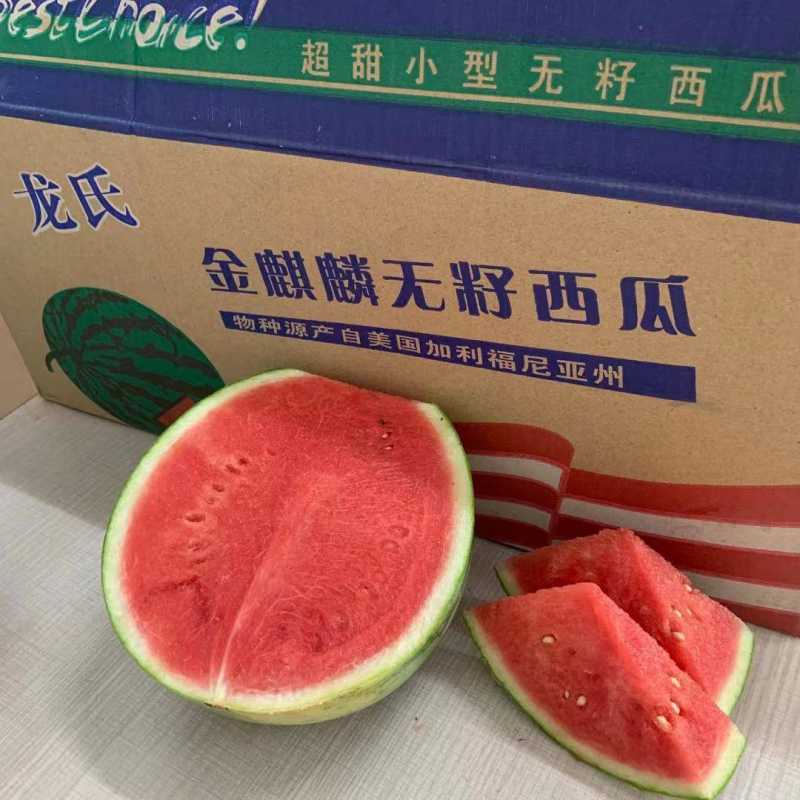 帅童无籽西瓜