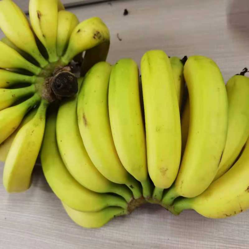 香蕉凤梨菠萝