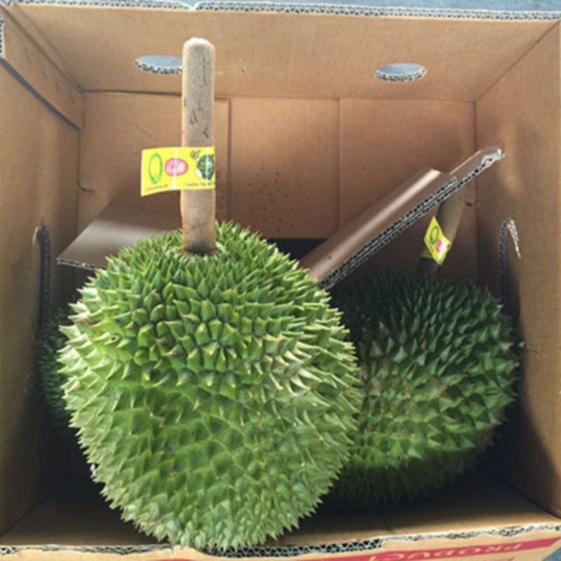 进口 【里美】长柄干尧 3-4头