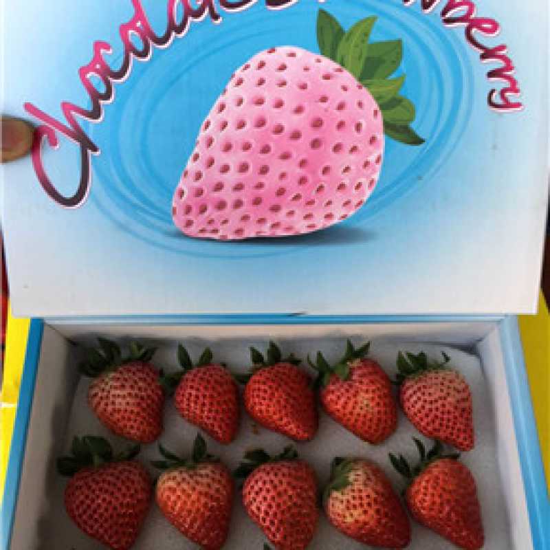 真田巧克力草莓(单盒)